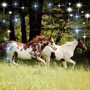 Meet your Posher, Sue